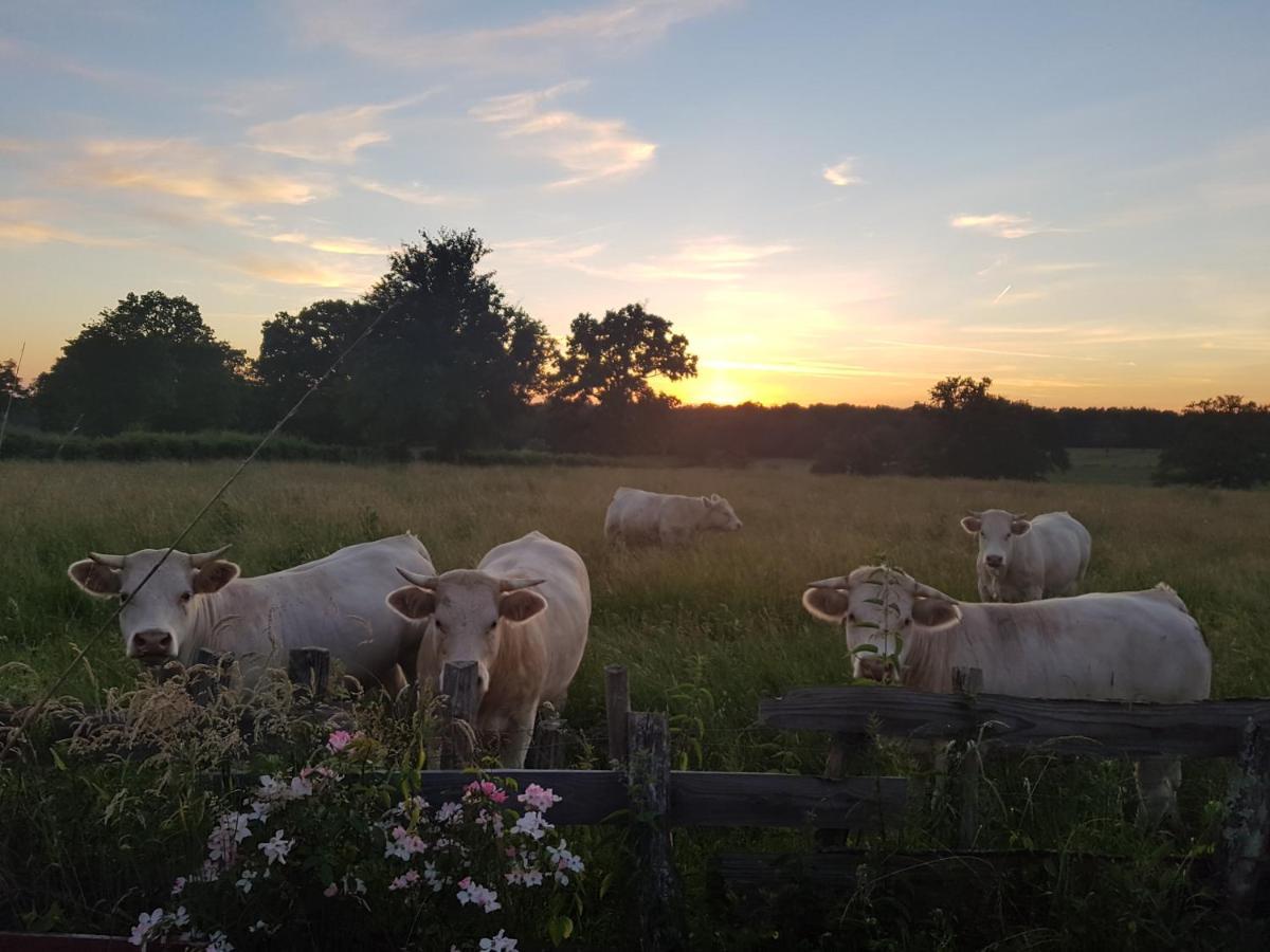 La Lisiere Du Morvan Magny-Lormes ภายนอก รูปภาพ